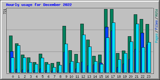 Hourly usage for December 2022