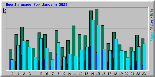 Hourly usage for January 2023