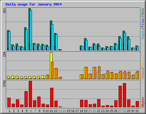 Daily usage for January 2024