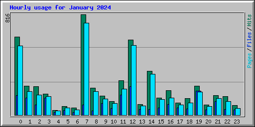 Hourly usage for January 2024