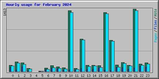 Hourly usage for February 2024