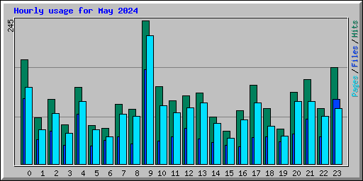 Hourly usage for May 2024