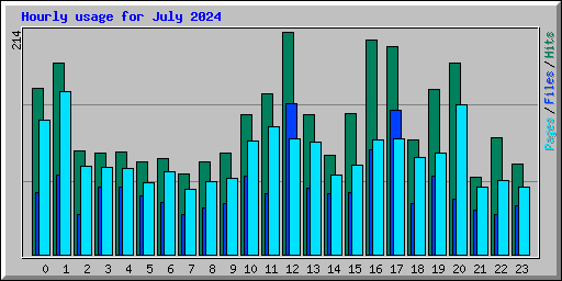 Hourly usage for July 2024