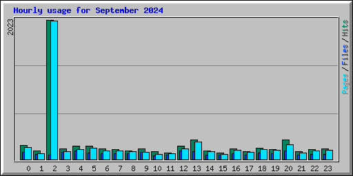 Hourly usage for September 2024