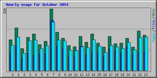 Hourly usage for October 2024