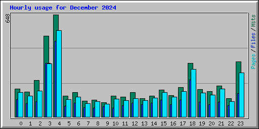 Hourly usage for December 2024