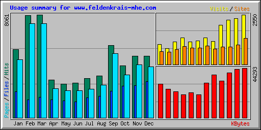 Usage summary for www.feldenkrais-mhe.com